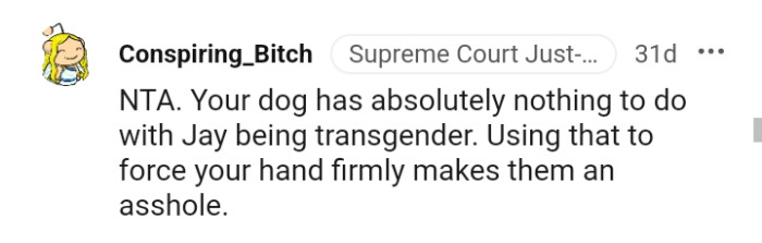 Your dog has absolutely nothing to do with Jay's transition