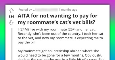 Cat Owner Refuses To Pay Vet Bills To Her Roommate Who Shouldered Everything While She Was Out Of The Country