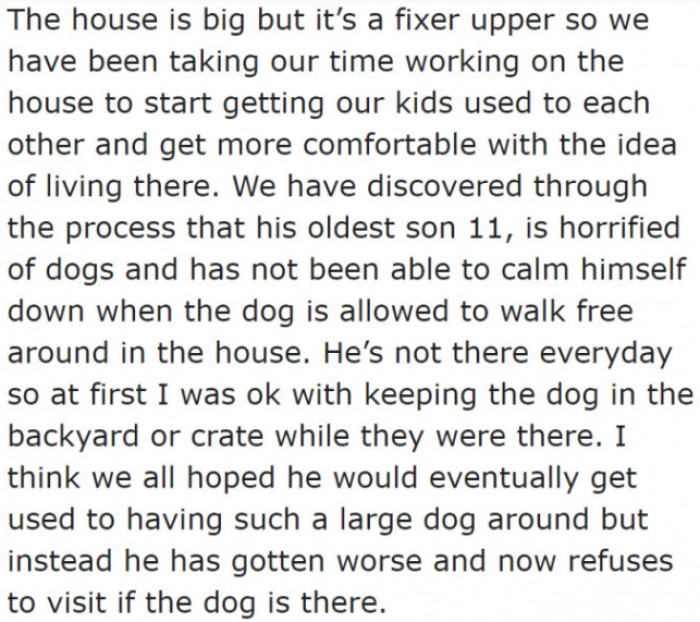 The woman's boyfriend's son is afraid of dogs.