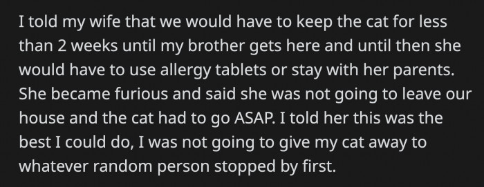 He asked his brother to adopt his cat, and he agreed, but they will have to wait two more weeks because OP's brother was out of town when he called.