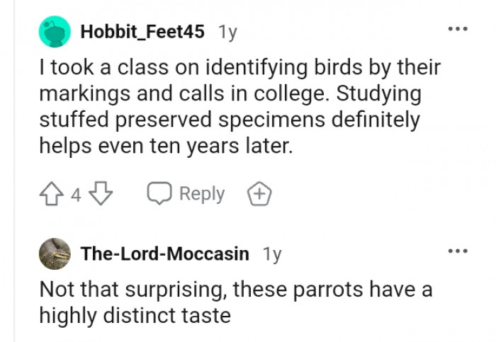 This Redditor took a class on identifying birds