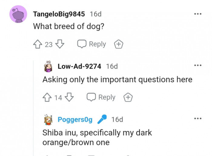 Only important questions are allowed here