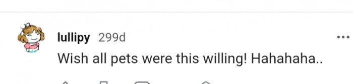 1. Not All Pets Are This Willing