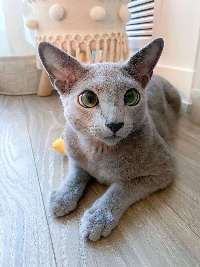 20. Beamed down straight into my heart.