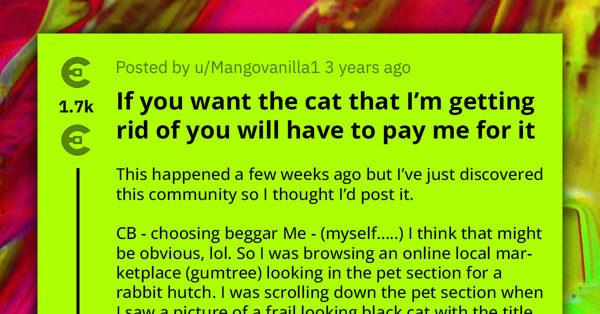 Redditor Generously Agrees To Adopt Giveaway Cat, Gets Slapped With Surprise £50 Fee Hours After Finalizing The Agreement