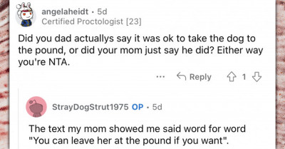 Father Gives Daughter The Silent Treatment After She Takes The Puppy He Brought Home To The Pound