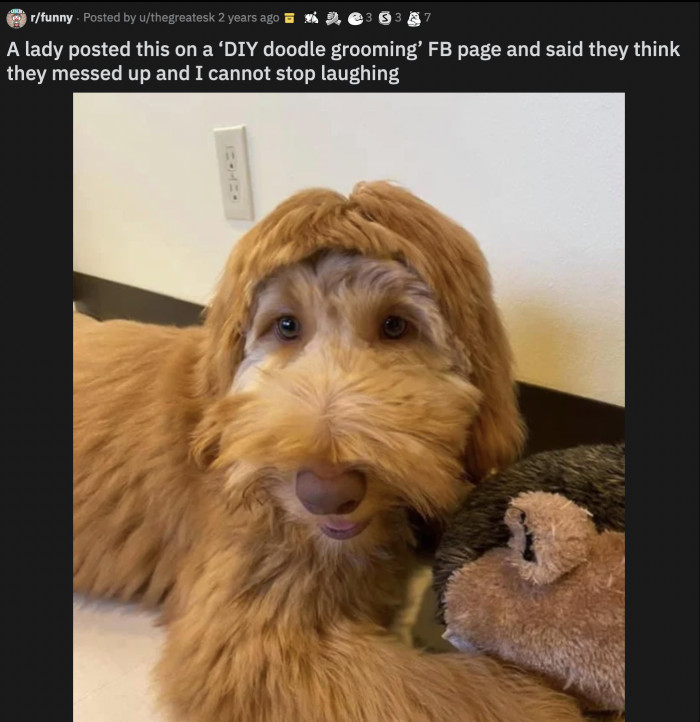 13. Is the dog named Alf?