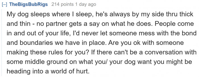 The decision really depends on the original poster. Some people are willing to give up the comfort of their dog.