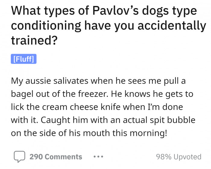 1. OP asking about dog conditioning and sharing his own experience.