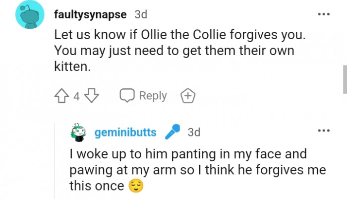 10. I think he forgives me this once