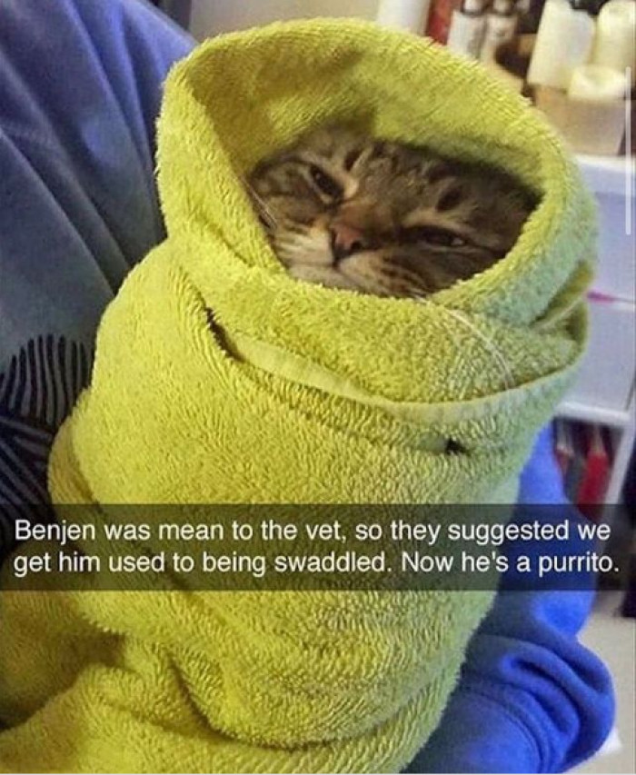 17. Here is one spicy purrito