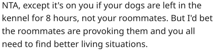 14. She shouldn't blame her roommates for leaving the dogs in their kennel for eight hours.