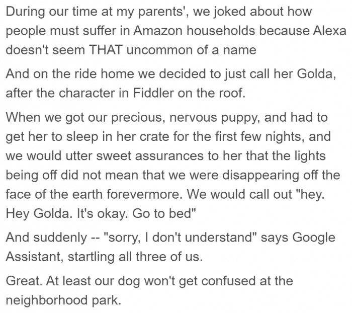 They decided to name it Golda, but it came with a price.