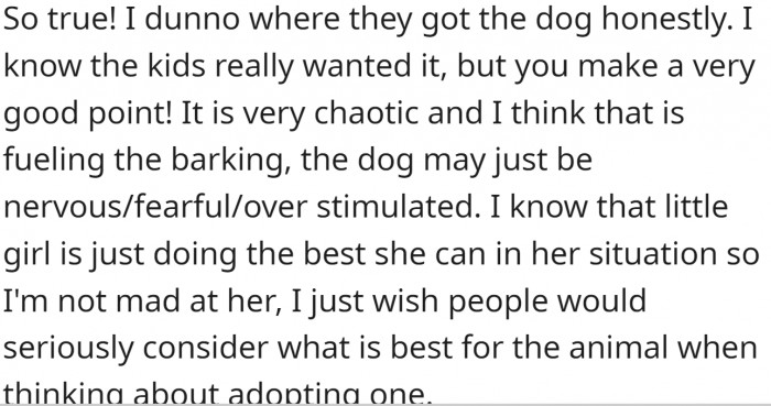 Person concerned about a Chihuahua barking and nipping at ankles in shared home