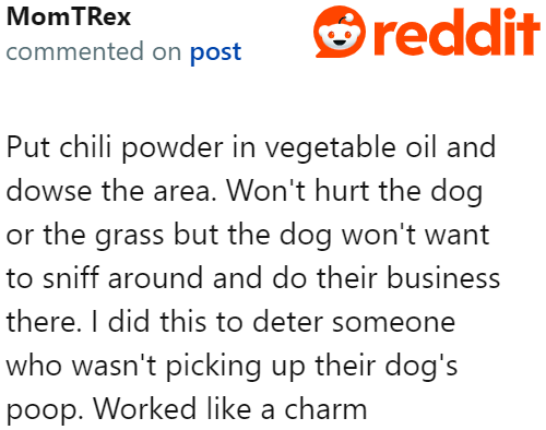 One thing the OP can do is deter the dog from pooping on her lawn.