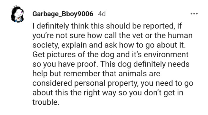 Get pictures of the dog and its environment