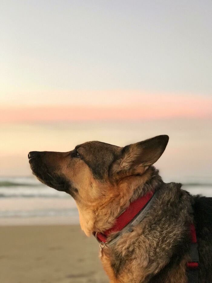 23. I Miss My Beautiful Sally So Much. She Was The Prettiest Model