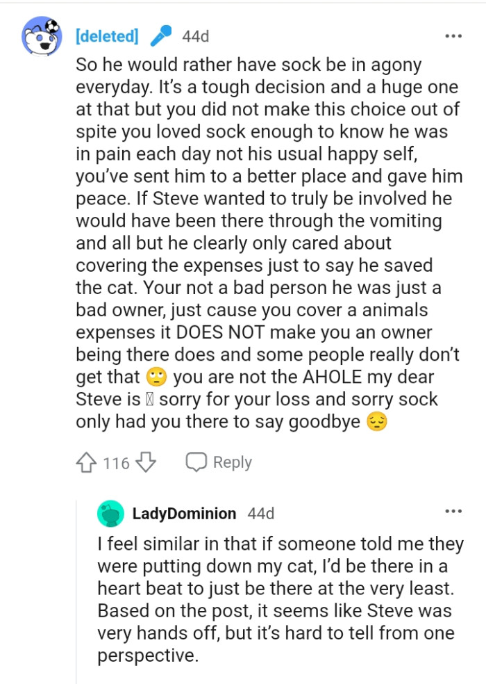 The OP's not a bad person but the cat's owner was bad