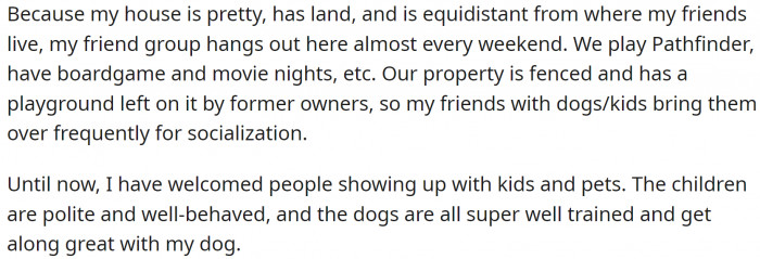 Their friends come over every weekend. Many of them have kids and pets, and OP enjoys having them around.