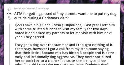 Redditor's Family Wants To Make Her Leave Her Dog Outside, She Eventually Decided Not To Spend Christmas With Them