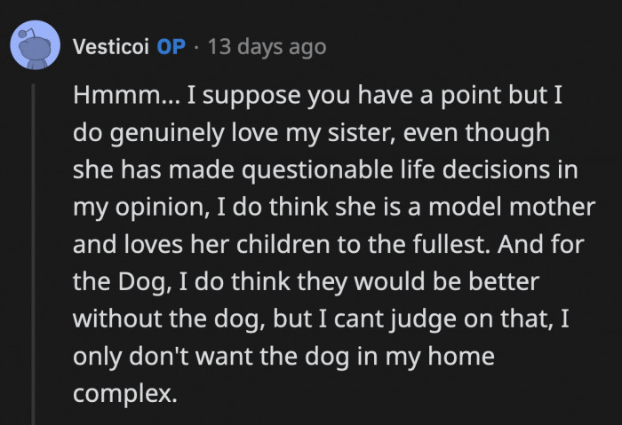 OP says he can't judge whether his sister is a good or bad owner. He just doesn't want the dog in his home and wonders if he's an a**hole for setting that boundary.