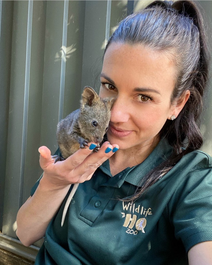 Baby Quokkas are adorable too, but twice the cuteness
