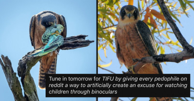 Police Suspect That Redditor Is A Child Predator After Using Binoculars To Watch Birds Next To A School