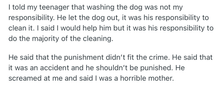 OP insisted that her son take on the responsibility of cleaning up the dog. Unfortunately, he exploded and called her a horrible mother