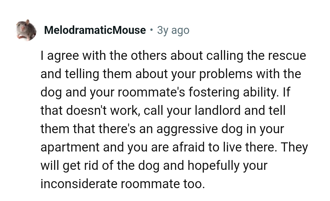 Telling the landlord that there's an aggressive dog