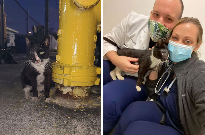 30. Chira was rescued in Miami.