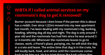 Redditor Faces Dilemma About Calling Animal Services And Getting Roommate's Dog Removed