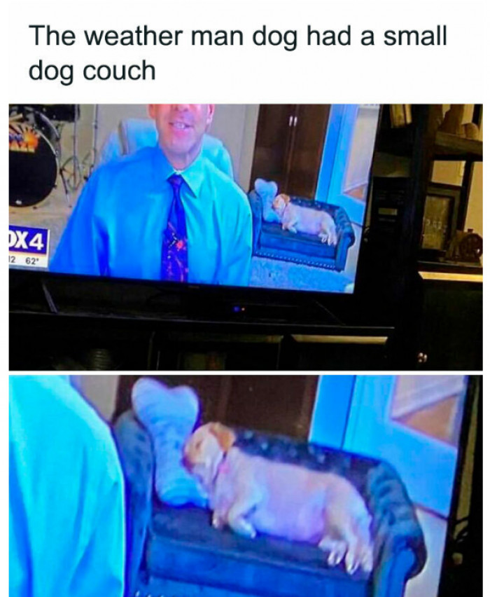 24. Something we normally see because of the pandemic.