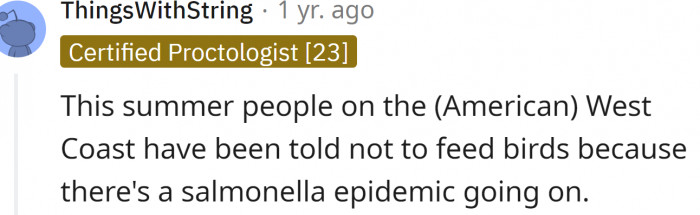 Bird feeders can be disease vectors.