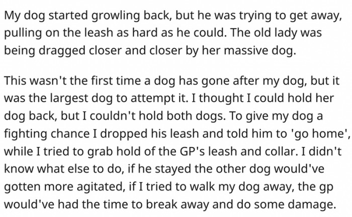 A dog has gone after my dog before