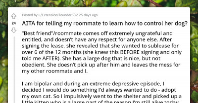 Bipolar Redditor Complains About Roommate's Dog That's Been Terrorizing Adopted Cat That Saved Her Life