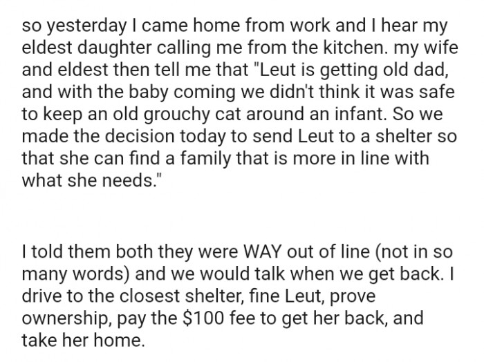 We made a decision to send the cat to the shelter