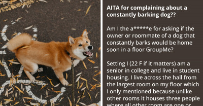 Reddit User Gets Criticized For Complaining About Constantly Barking Dog