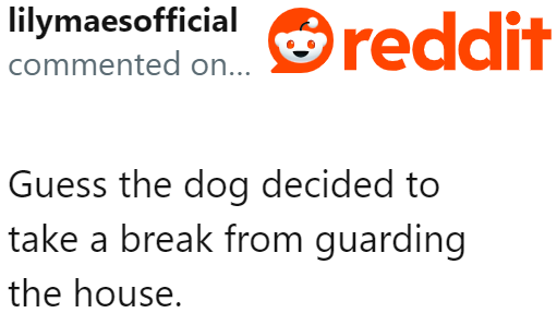 The dog thought he was also due for a break, just like his owners.