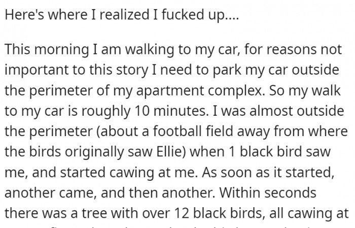 The cat owner was far from safe, though