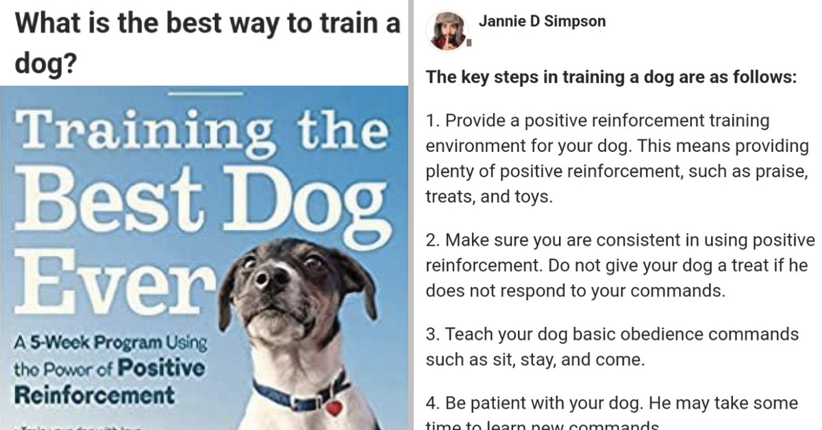 People Online Are Sharing Amazing Tips On The Best Way To Train A Dog