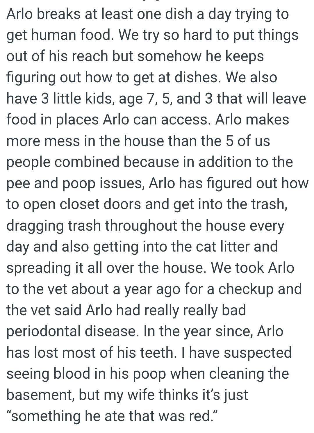 They try so hard to put things out of the dog's reach