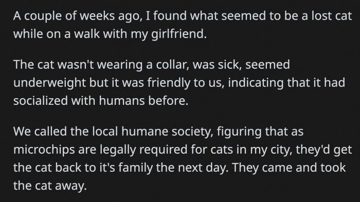 The cat they found looked sickly and wasn't wearing a collar. OP did the right thing and called the humane society to surrender the cat.