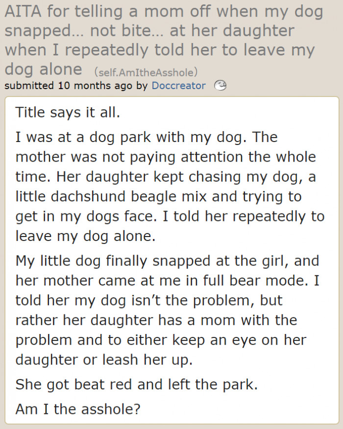 A dog owner shares his experience at a dog park.