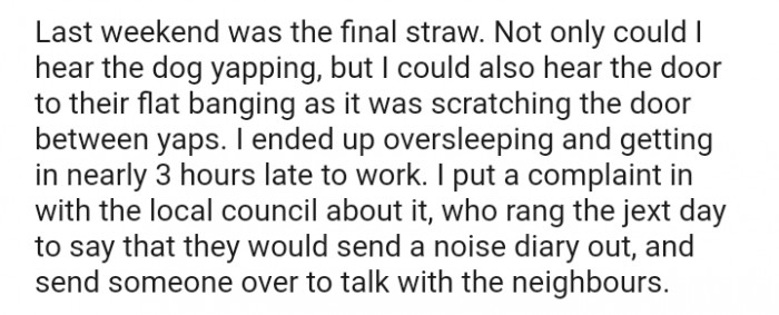 The OP Filed a Complaint with the Local Council About It