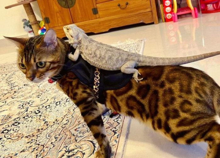 It’s always important to give your friends a lift when they need it