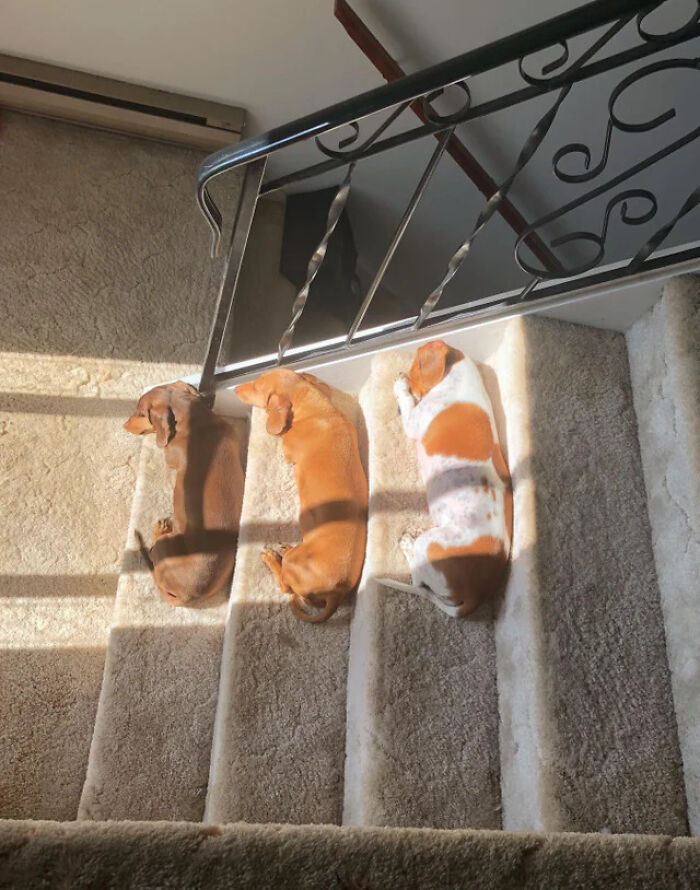 "They Do This Every Day At The Same Time"