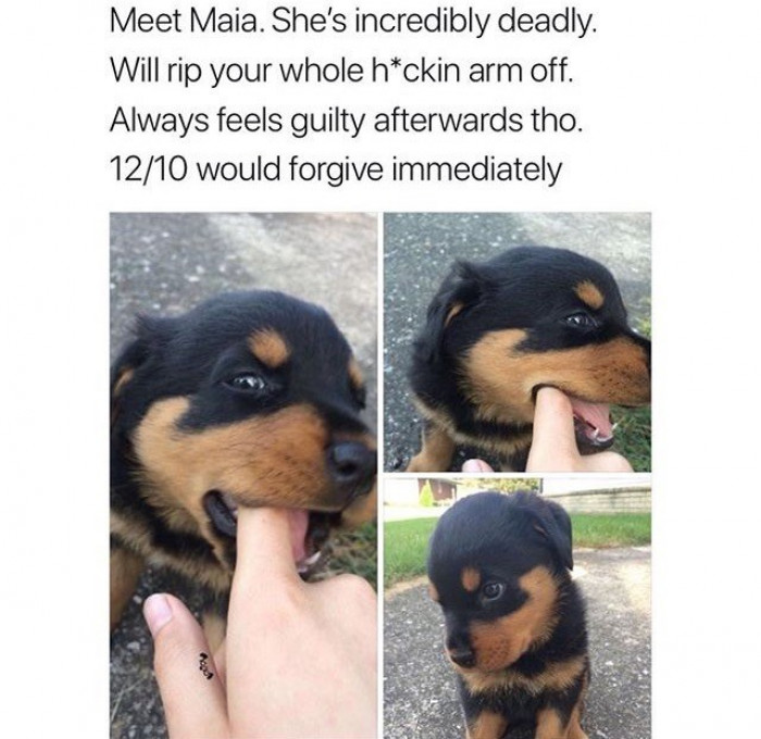 17. Naughty kiddo knows how to say "sowwy."