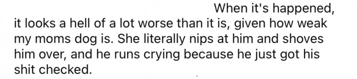 Because of the size difference of the dogs, OP says it looks much worse when it happens than it actually is.