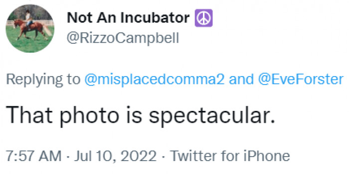 Another commenter clearly loved the photo