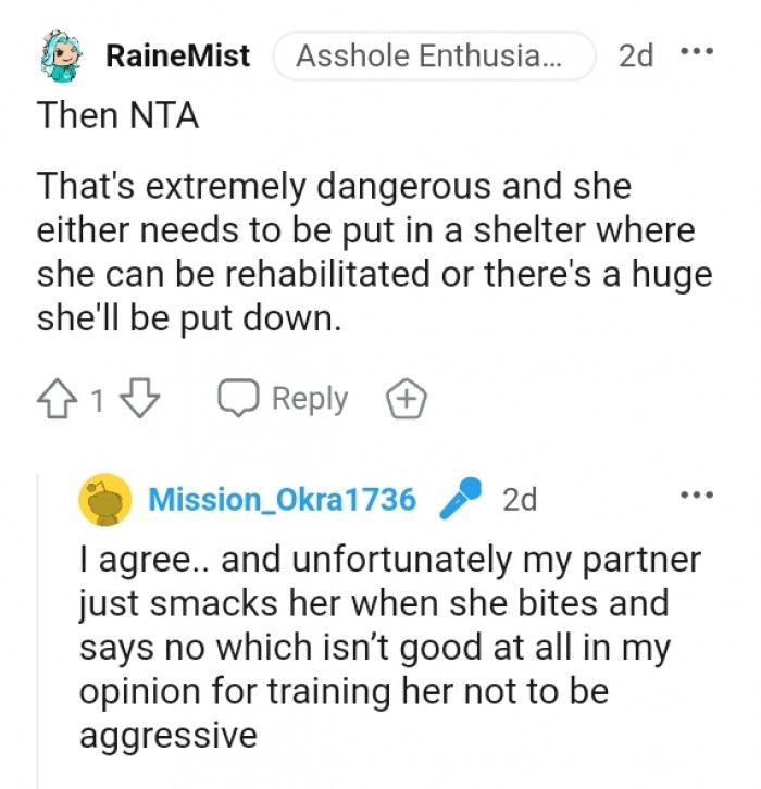 Then the Redditor made a decision.